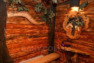 Sauna on the wood «Forest Hut» reviews, bath/sauna Kyiv Darnitsky district Bortnichi, st. Kotsyubinsky, 22, photo, address with a travel card.