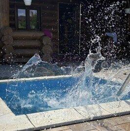 «БАНЕЧКА» на дровах в Гатном.МТеремки. відгуки, лазня/сауна Киев Голосеевский район Гатное ул. Юности, фото, адреса з картою проїзду.