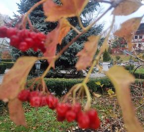 Сауны гостиничного комплекса «Червона Калина» на Днепре відгуки, лазня/сауна Киев Деснянский район Проспект Романа Шухевича 7, Парк Муромец (Северний мост), фото, адреса з картою проїзду.