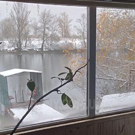 Sauna on the wood «Laguna» by the water reviews, bath/sauna Kyiv Obolonsky district Prirechnaya street, 32, photo, address with a travel card.