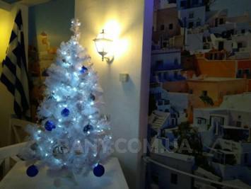 Wood-fired sauna in Cherkasskaya Street reviews, bath/sauna Kyiv Shevchenko district st. Cherkasskaya, 12, photo, address with a travel card.