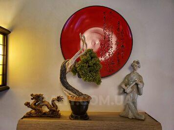 Wood-fired sauna in Cherkasskaya Street reviews, bath/sauna Kyiv Shevchenko district st. Cherkasskaya, 12, photo, address with a travel card.