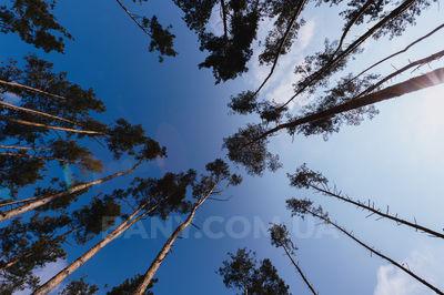 Sauna, bath Scandi Club, Kolonshchyna reviews, photo, address - bany.com.ua Scandi Club reviews, bath/sauna Kolonshchyna  district st. Novomar'yanovskaya, with. Kolonshchina, Kyiv region, photo, address with a travel card.