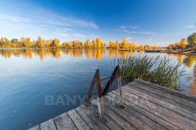 Sauna, bath Вath on the wood «Berth», Kyiv reviews, photo, address - bany.com.ua Вath on the wood «Berth» reviews, bath/sauna Kyiv Obolonsky district crossing street Heroes of Stalingrad and st. Prirechnaya descent to the bay of the Dnieper fishing and sports base EMERALD, photo, address with a travel card.