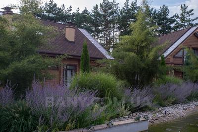 Bath-improving complex «Tripolsky sun» reviews, bath/sauna Pidhirtsi  district Kiev region., 27 km of Novoobukhovskaya highway, s. Podgortsy, opposite the Blue Lake (10 km from Kiev), photo, address with a travel card.