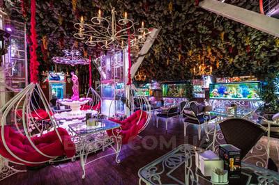 Hotel and restaurant complex «Viktoriya Family» reviews, bath/sauna Kyiv Svyatoshinsky district  Toulouse st., 3-B, photo, address with a travel card.