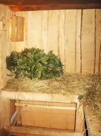 Русские бани «Труханов Остров» відгуки, лазня/сауна Киев Подольский район Парковая дорога, 15, фото, адреса з картою проїзду.