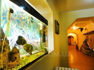 Сауна «Диаф» на Закревского відгуки, лазня/сауна Киев Деснянский район ул. Закревского, 51/2, фото, адреса з картою проїзду.