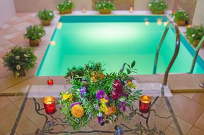 Firewood-heated sauna «Delice» reviews, bath/sauna Kyiv Dnieper  district brig Perova, 21-B, photo, address with a travel card.