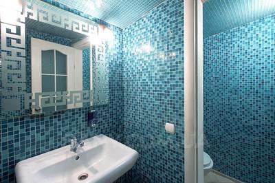 Firewood-heated sauna «Delice» reviews, bath/sauna Kyiv Dnieper  district brig Perova, 21-B, photo, address with a travel card.